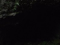 otta Intraleo-20100515 017